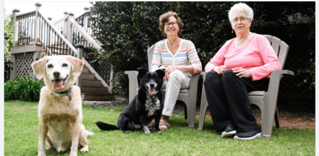 two women and two dogs in a backyard