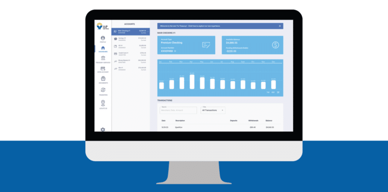 Computer screen displaying a business online banking dashboard with charts, account details, and real-time updates.